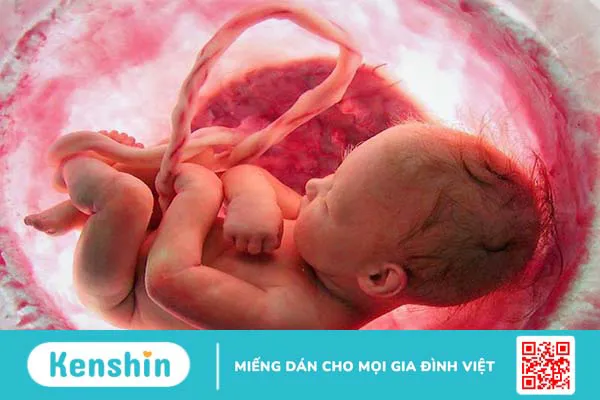 Ngôi thai thuận tuần 32 có dấu hiệu gì? Những lưu ý cần biết với mẹ bầu 32 tuần