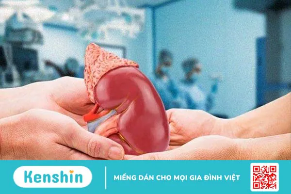 Người có một quả thận bẩm sinh có sống được không? Những điều cần lưu ý