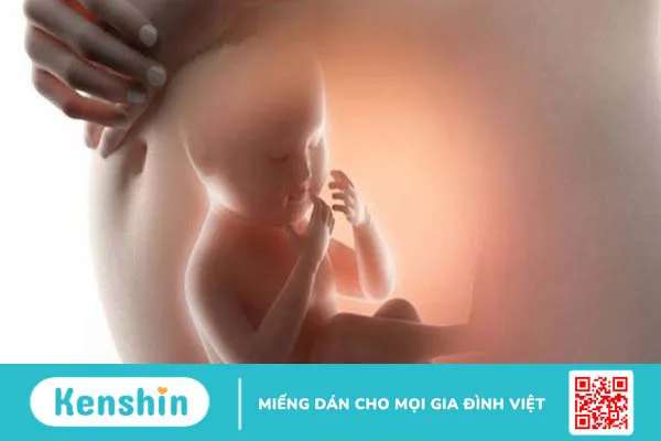 Người có một quả thận bẩm sinh có sống được không? Những điều cần lưu ý 1