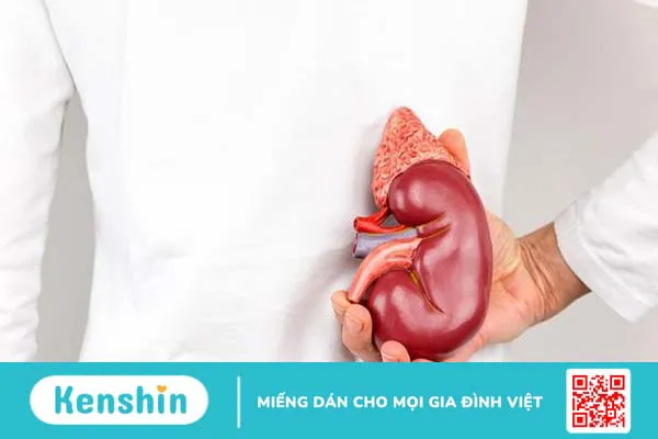 Người có một quả thận bẩm sinh có sống được không? Những điều cần chú ý 2