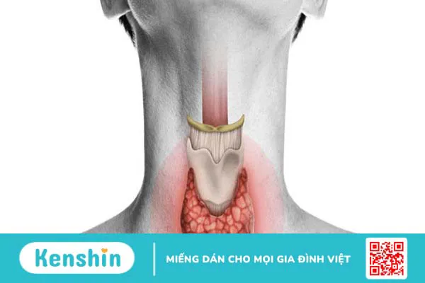 Nguyên nhân bệnh tuyến giáp gây tăng cân và cách khắc phục