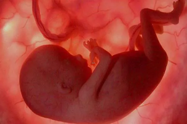 Nguyên nhân và dấu hiệu trẻ bị suy dinh dưỡng trong bào thai