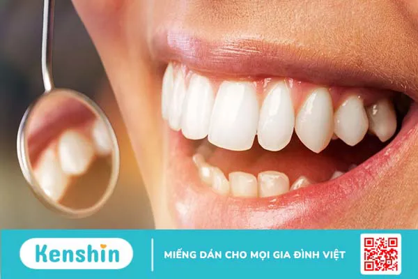 Nha chu là gì? Các bệnh thường gặp ở nha chu