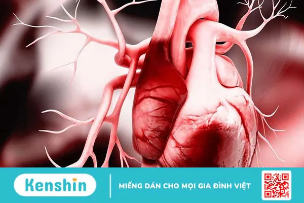 Nhận biết dấu hiệu suy tim từ huyết áp giảm