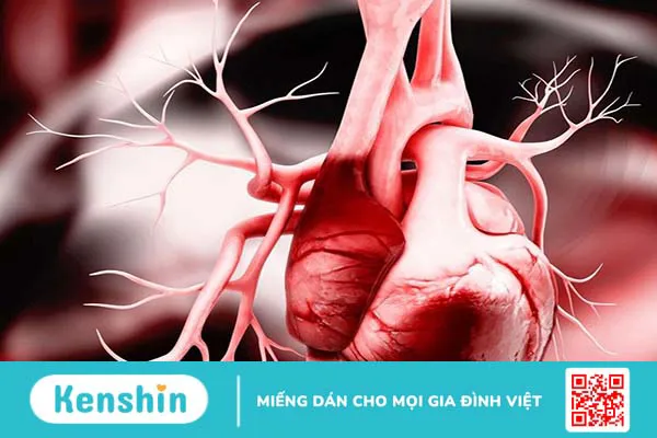 Hiểu hơn về dấu hiệu suy tim từ huyết áp giảm 3