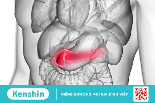 Nhận biết dấu hiệu viêm tụy sớm để giảm thiểu rủi ro