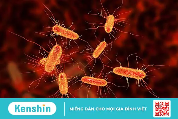 Nhiễm trùng do vi khuẩn và virus khác nhau hoàn toàn, bạn có biết? 1