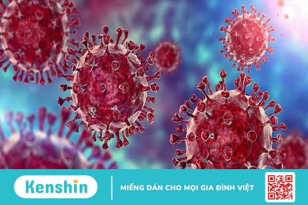 Nhiễm trùng do vi khuẩn và virus khác nhau hoàn toàn, bạn có biết? 2