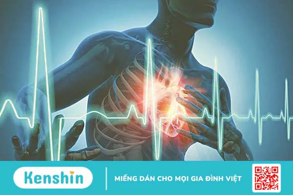 Nhịp chậm xoang: Nguyên nhân, triệu chứng và cách điều trị