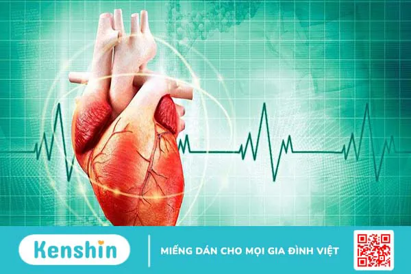 Nhịp tim bao nhiêu là nguy hiểm đối với người bình thường?