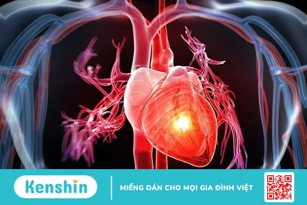 Nhịp tim bao nhiêu là nguy hiểm đối với người bình thường?