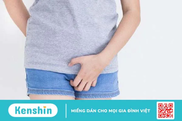 Nhóm các xoắn khuẩn gây bệnh