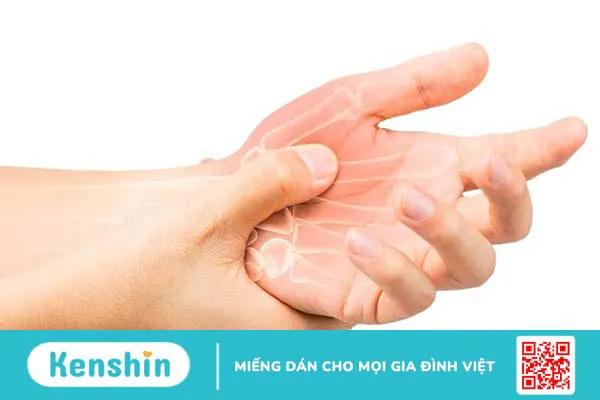 Những bài thuốc chữa bệnh từ cây hoa dẻ