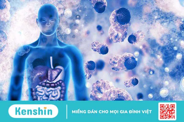 Những cách giảm nguy cơ ung thư mà bạn nên biết