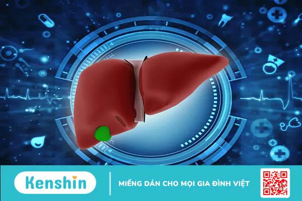 Những dấu hiệu gan có vấn đề và cách nhận biết