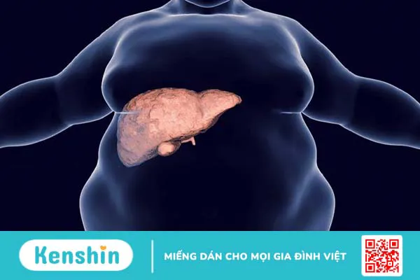 Những dấu hiệu gan có vấn đề và cách nhận biết