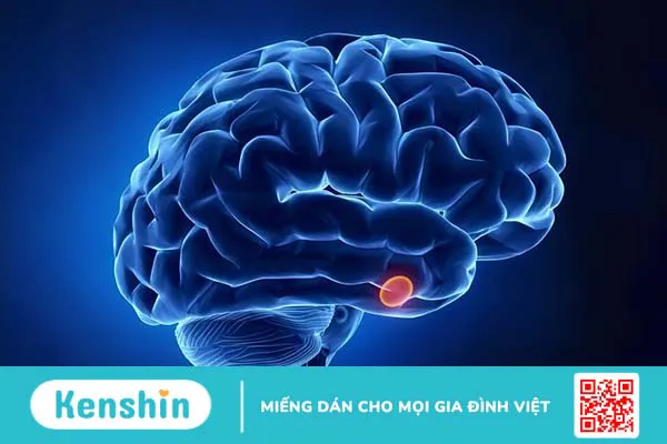 Những dấu hiệu tuyến yên có vấn đề bạn không nên chủ quan1