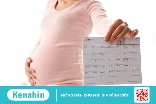 Những điều cần biết khi mang thai: Lịch khám thai và dinh dưỡng cho thai kỳ