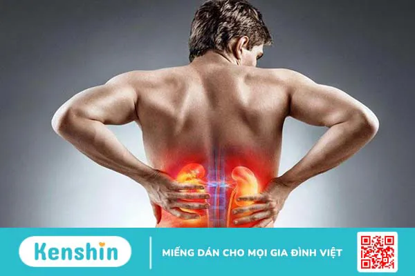 Những điều cần biết và lưu ý khi khám thận 2