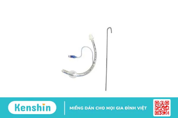 Những điều cần biết về kỹ thuật đặt nội khí quản đường mũi