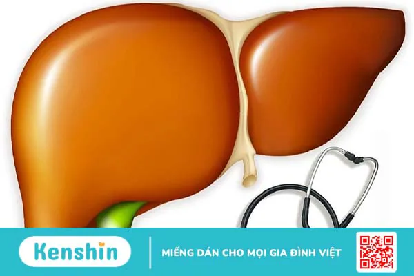 Những điều cần biết về xét nghiệm phosphatase kiềm 4