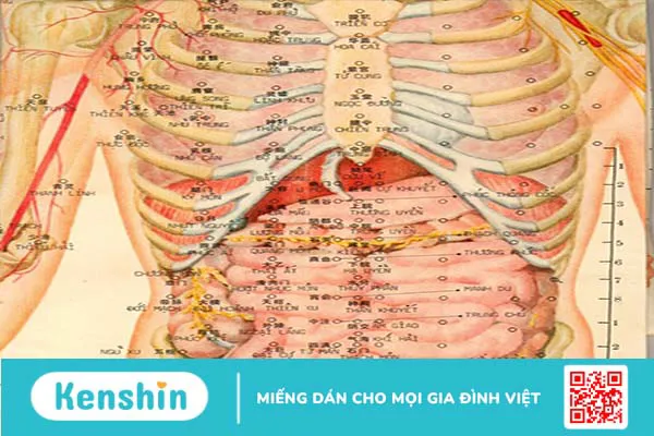 Những hiểu biết hữu ích về Huyệt Trung Phong