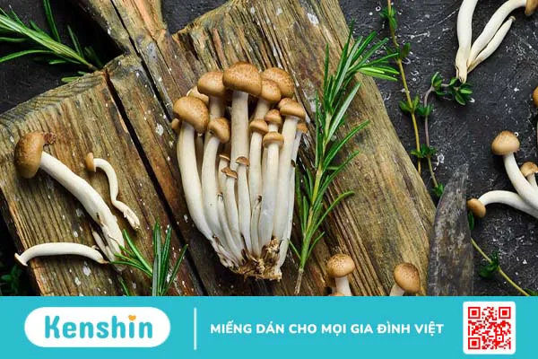 Những lợi ích của nấm hải sản với sức khỏe