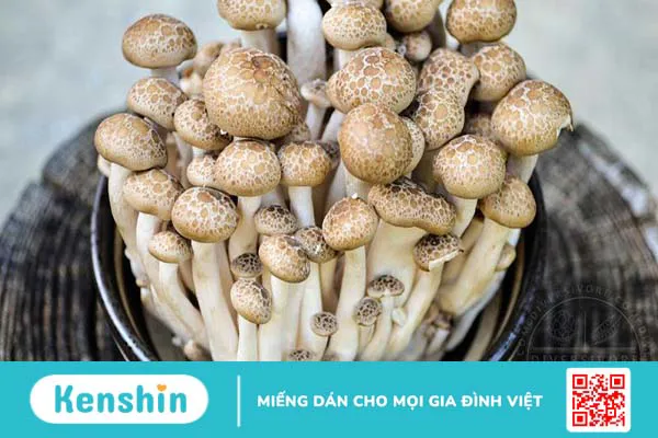 Những lợi ích của nấm hải sản với sức khỏe 2