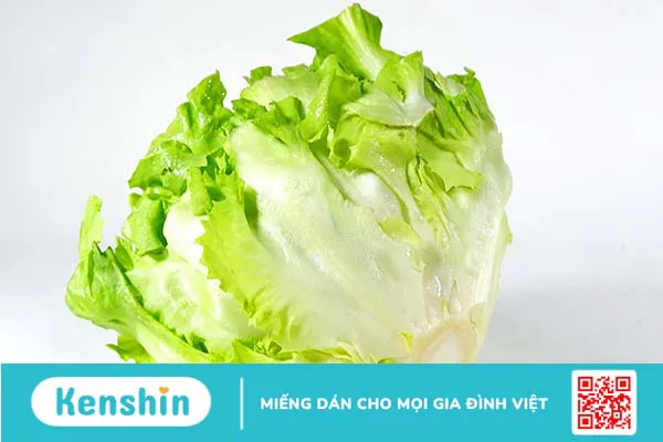 Những lợi ích của rau xà lách Escarole có thể bạn chưa biết