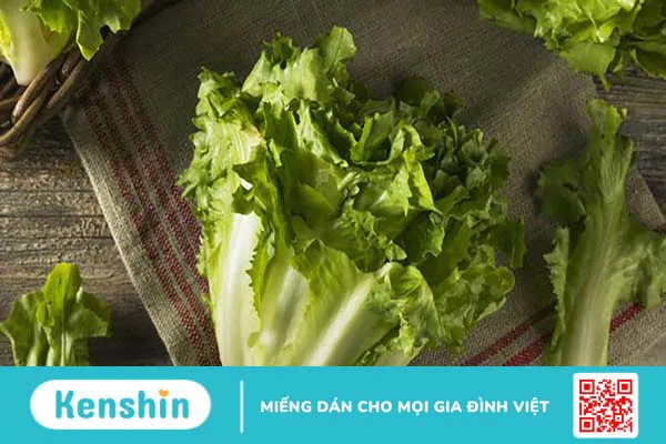 Những lợi ích của rau xà lách Escarole có thể bạn chưa biết