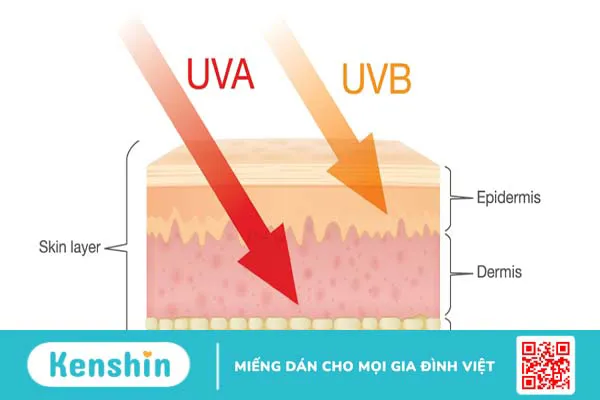 Những tác hại của tia UVA đối với sức khỏe con người