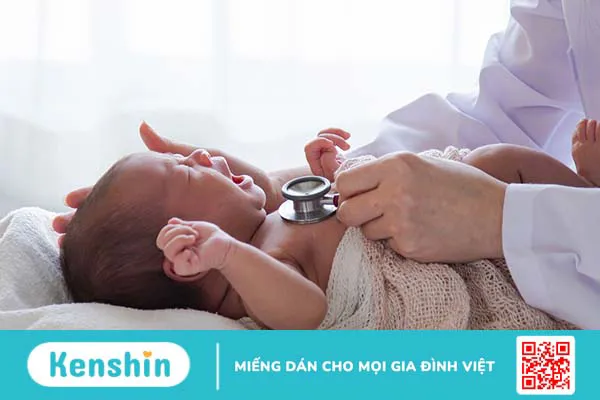 Những thông tin cần biết về vá lỗ thông liên nhĩ 4