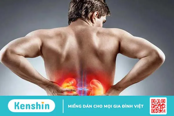 Những thông tin cơ bản về bệnh thận đa nang bẩm sinh không phải ai cũng biết 2