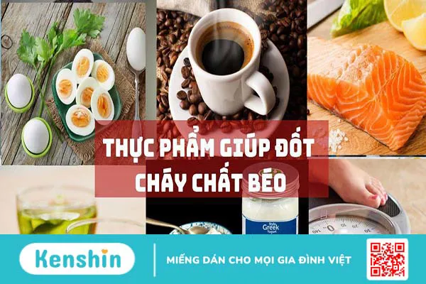 Những thực phẩm đốt cháy chất béo tối ưu