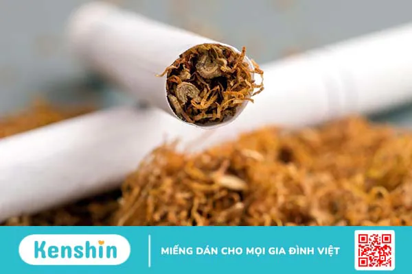 Nicotine có gây ung thư không? Tác dụng thật sự của nicotine là gì?