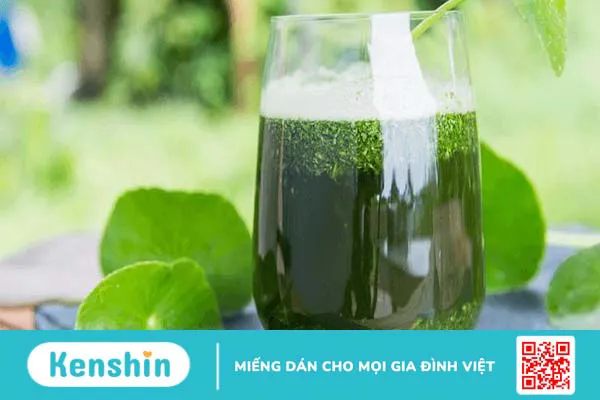 Nóng gan gây nhiệt miệng có nguy hiểm không? Các phương pháp chữa trị đơn giản tại nhà 4