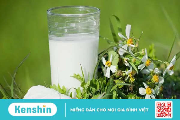 Nóng gan gây nhiệt miệng có nguy hiểm không? Các phương pháp chữa trị đơn giản tại nhà 5