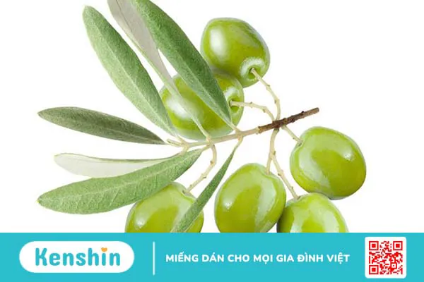 Oliu đen và oliu xanh phân biệt như thế nào? Ứng dụng trong nấu ăn 2