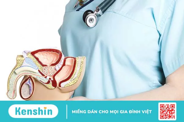 Ống dẫn tinh là gì? Một số thông tin về bệnh tắc ống dẫn tinh bạn cần biết