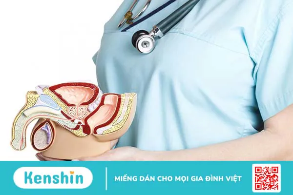 Ống dẫn tinh là gì? Một số thông tin về bệnh tắc ống dẫn tinh bạn cần biết