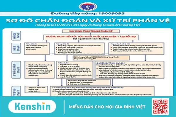 Phác đồ điều trị sốc phản vệ theo hướng dẫn của Bộ Y tế