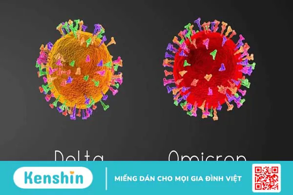 Phân biệt sự khác nhau giữa chủng Delta và Omicron