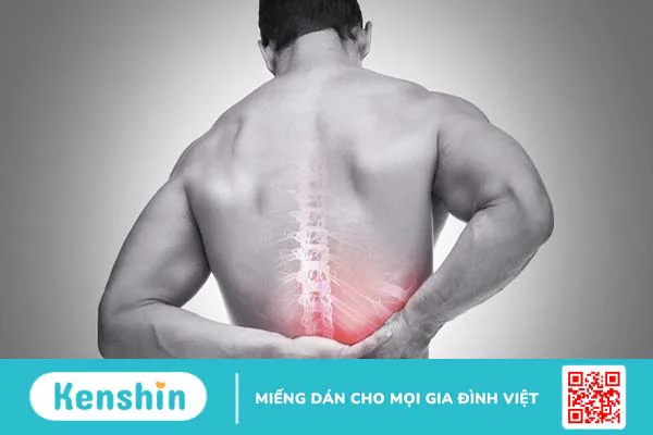 Phân loại chấn thương cột sống theo phân độ Frankel