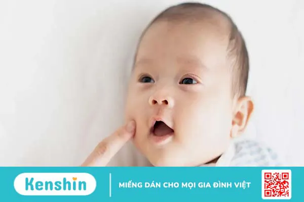 Phản xạ root là gì? Phản xạ root hình thành khi nào?