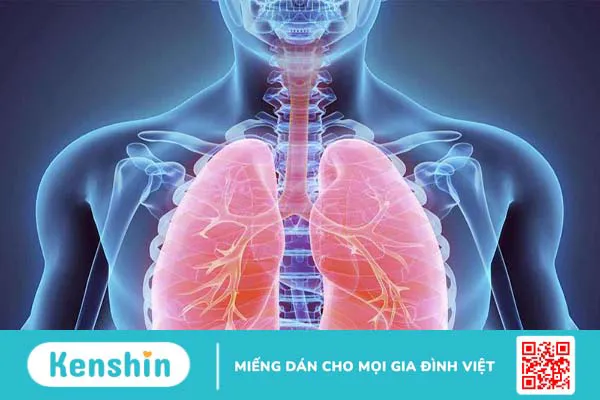 Phẫu thuật nội soi lấy máu đông màng phổi và những điều bạn cần biết 1