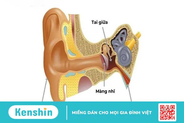 Phẫu thuật nội soi vá nhĩ và những điều bạn cần biết