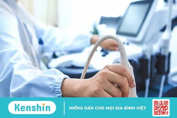 Phôi thai là gì? Cách hình thành của phôi thai 2