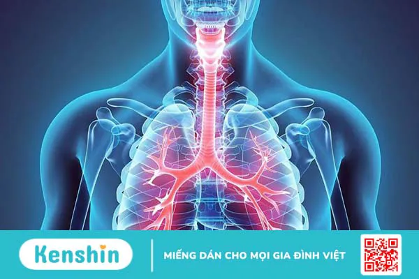 Phương pháp chẩn đoán COPD chính xác