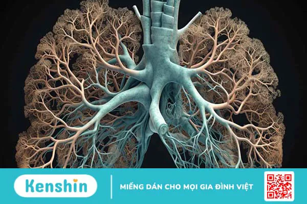 Phương pháp chẩn đoán COPD chính xác