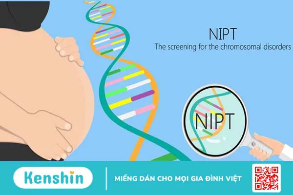 Phương pháp chọc ối xét nghiệm ADN có nguy hiểm không?